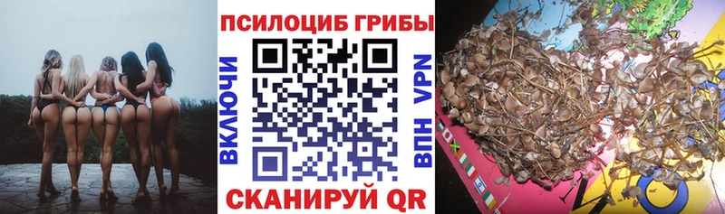 Псилоцибиновые грибы мицелий  где продают наркотики  shop клад  Безенчук  KRAKEN зеркало 